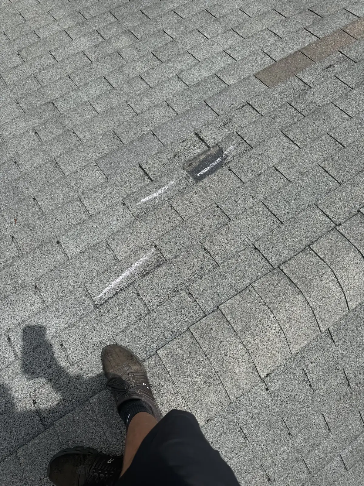 Close-up of creased and lifted shingle tabs on a damaged roof